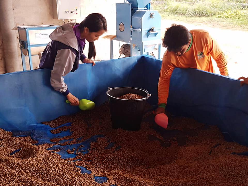Royal & Chaipattana Projects — project photograph 5