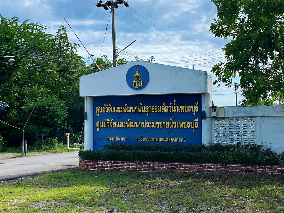 JICA · Phetchaburi Coastal Aquaculture R&D Center — project photograph 1