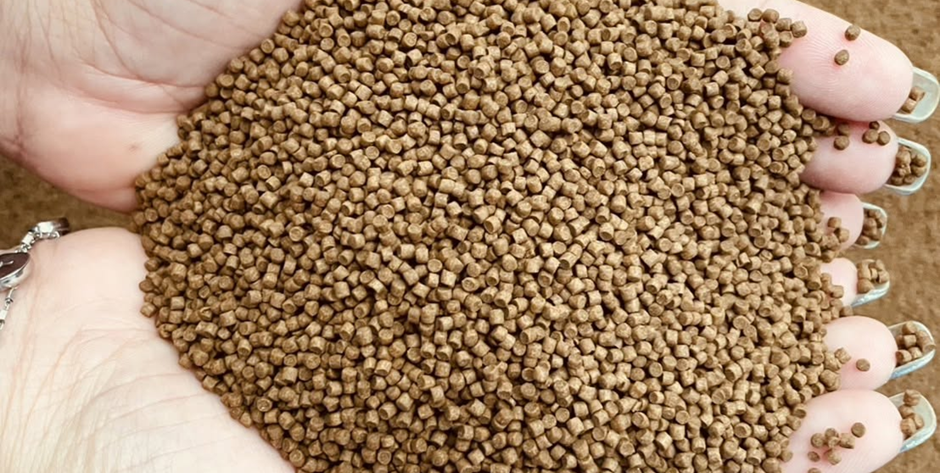 Extruded aquaculture feed pellets
